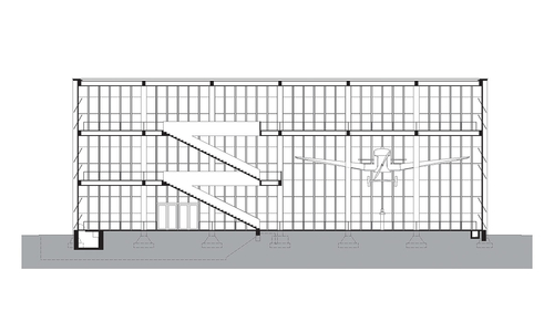 Longitudinal section.