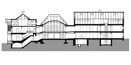 Longitudinal section.