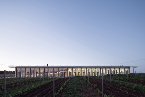 Prostor návštěvnického centra a administrativní části je maximálně otevřený směrem na jih do klesajícího svahu vinohradu; při pohledu zvenku dovnitř zůstává patrný průběh žeber i střechy v interiéru.