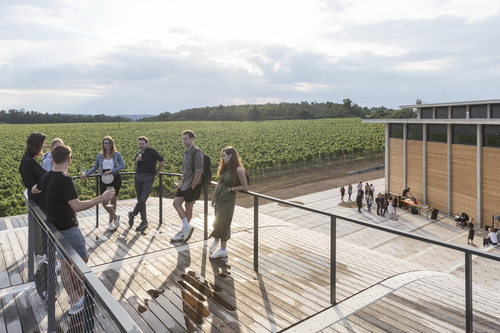 Návštěnická část má formu měkce tvarovaného amfiteátru stoupajícího až na střechu budovy, odkud nabízí výhled do krajiny.