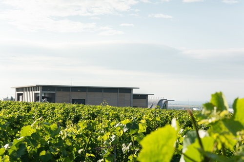Dvě výrobní haly se vyznačují rozdílnou světlou výškou; s návštěvnickou částí jsou sjednoceny výrazným přesahem střech.