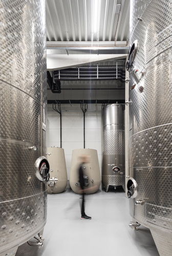 Vyšší z hal pokrývá provozy s požadavkem na nižší teplotu – lisovnu, sklep a sklady lahvovaného vína.