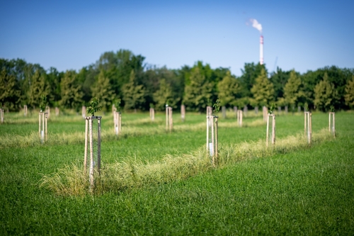 Cena Prahy: Plužiny – šetrné zemědělství v Praze; autor: Jiří Rom; investor: Odbor ochrany prostředí MHMP; foto: Vojta Herout.