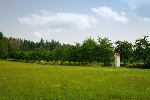 Cena Sympatie: 200 km alejí pod horou Blaník; autor a zhotovitel: ZO ČSOP Vlašim; investor: většinou obce; foto: Vojta Herout.