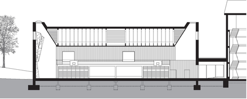 Longitudinal section.