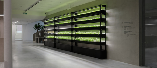 Hydroponická stěna ve vstupním foyeru je schopna vyprodukovat 900 bylinek a salátů měsíčně s minimálními náklady na vodu a energie.