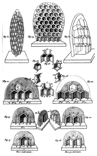 Architektura včelích úlů, jak je vyobrazena ve vlivném díle Françoise Hubera Nouvelles observations sur les abeilles, 1814; zdroj: Cabinet 23 / Fruits, 2006.