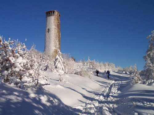 Rozhledna Brdo, tzv. Kšiltovka (2004); foto: Radek Stojan.