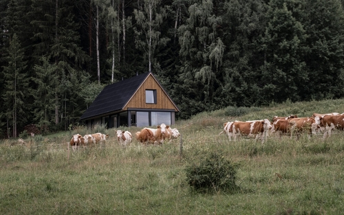 Český soběstační dům ; zdroj: Wienerberger