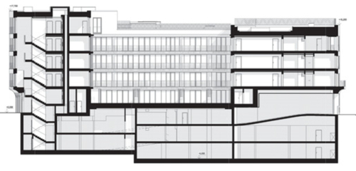 Longitudinal section.