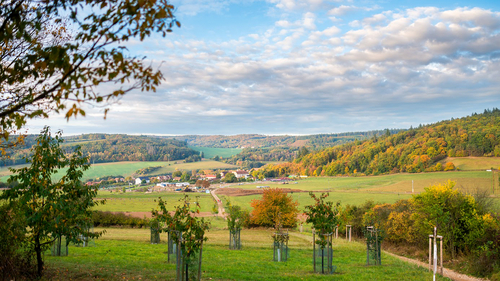Zahradní a krajinářská tvorba: Vohančice – komplex protierozních opatření a krajinářských úprav, 2023; foto: archiv obce Vohančice.